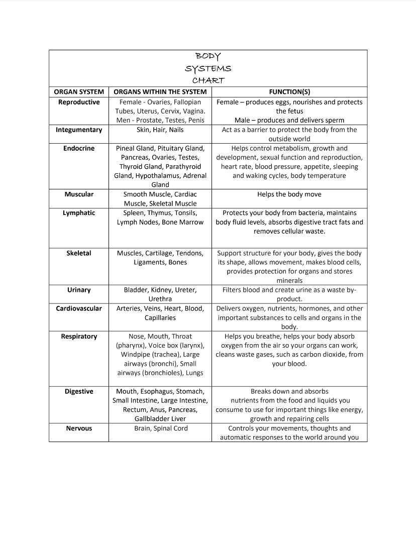 Body Systems Chart