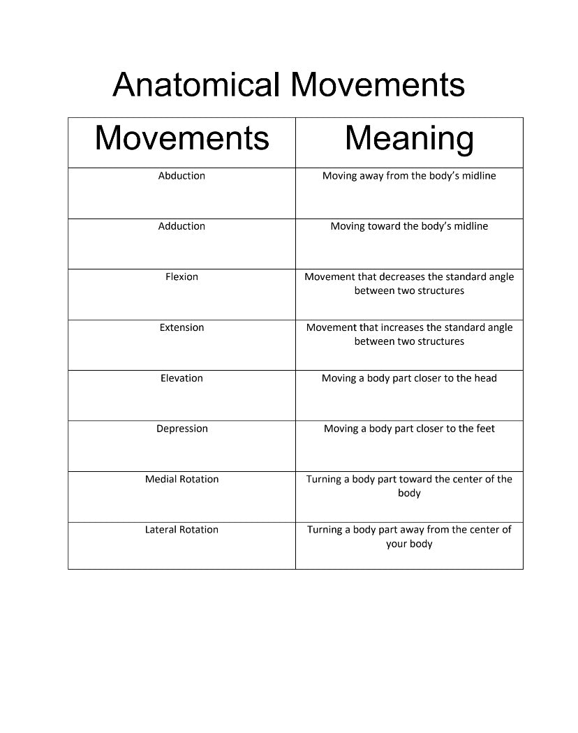 Anatomical Movements